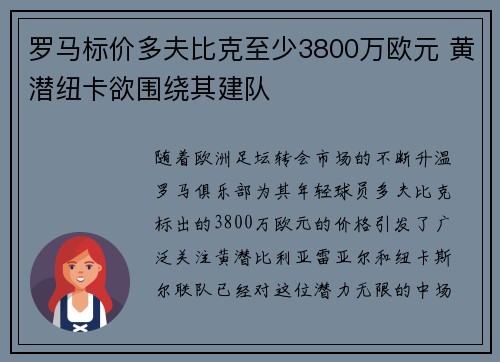 罗马标价多夫比克至少3800万欧元 黄潜纽卡欲围绕其建队