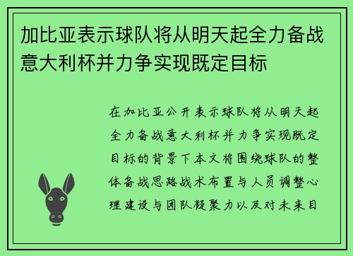 加比亚表示球队将从明天起全力备战意大利杯并力争实现既定目标